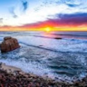 Meet your Posher, Leila